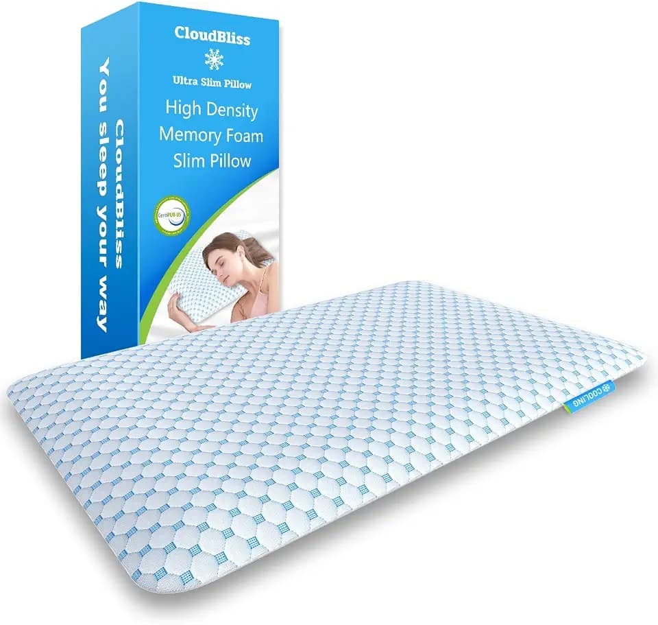 CloudBliss Thin Memory Foam Pillows, Reversible Design, 2.75", Standard