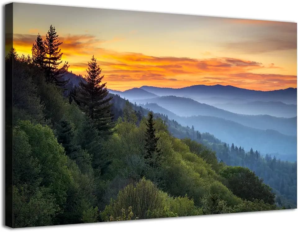 Blue Ridge Mountains Canvas Wall Art Sunrise Forest Wall Decor Living Room National Park Poster Nature Landscape Pictures for Bedroom Woodland Scenery Artwork Kitchen Office Home Decorations 20x30"