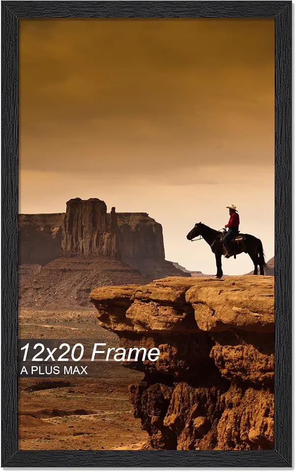 A PLUS MAX 12x20 Picture Frame Black Light Weight Wall Mount