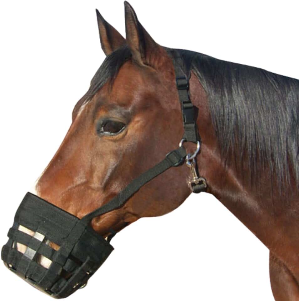 Best Friend Deluxe Grazing Muzzle with Attached Halter for Horses - Ventilated Neoprene, Padded Noseband, Breakaway Design, Lightweight Food Intake Control, Large Horse