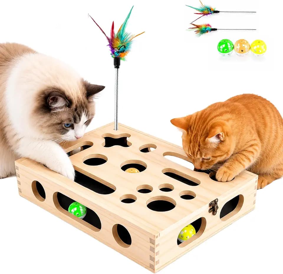 3-in-1 Kratzkiste für Katzen, Interaktives Katzenspielzeug mit Spielzubehör