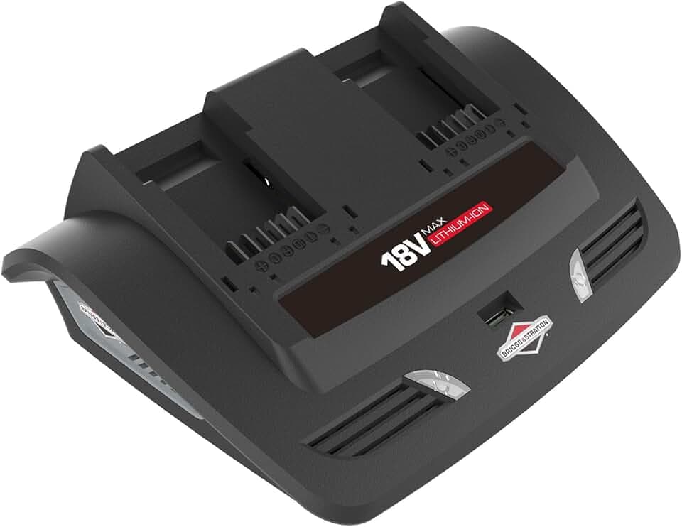 Briggs & Stratton 1697084 18V Lithium-Ionen-Akku Dual-Ladegerät (für Murray 18V)
