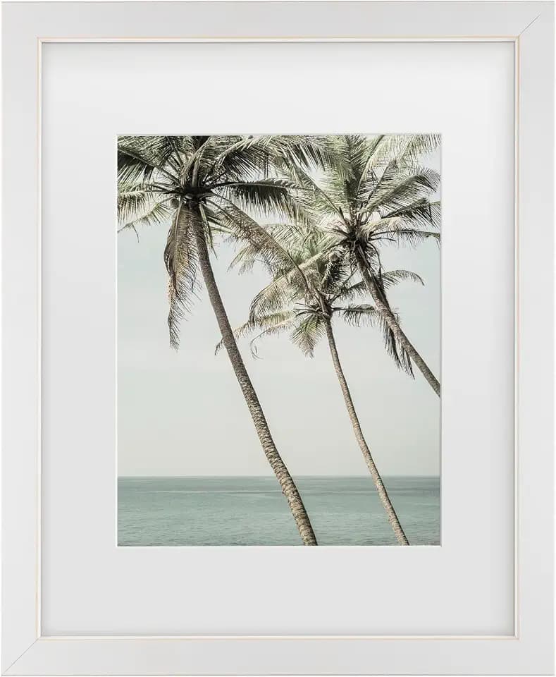 Trademark Fine Art Framed Wall Art - Shot by Clint 'Sun Kissed' Wall Decor with Matted Frame