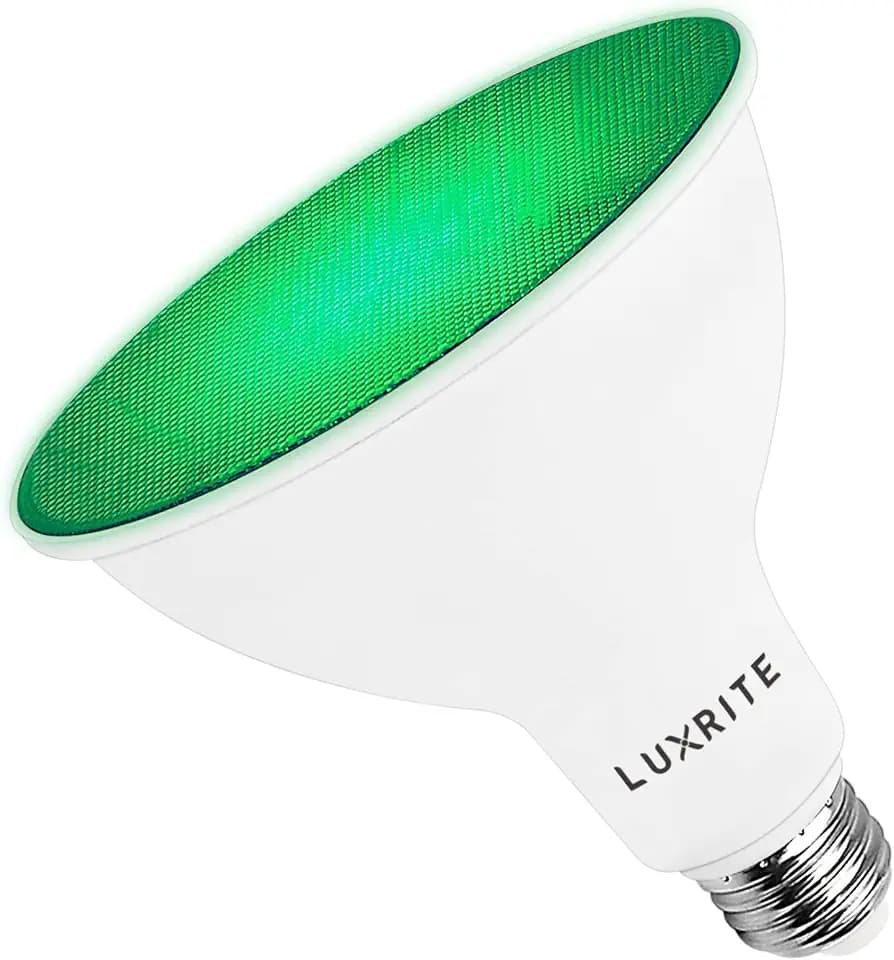 LUXRITE LED PAR38 Flood Green Light Bulb, 8W (45W Equivalent), 1 Pack