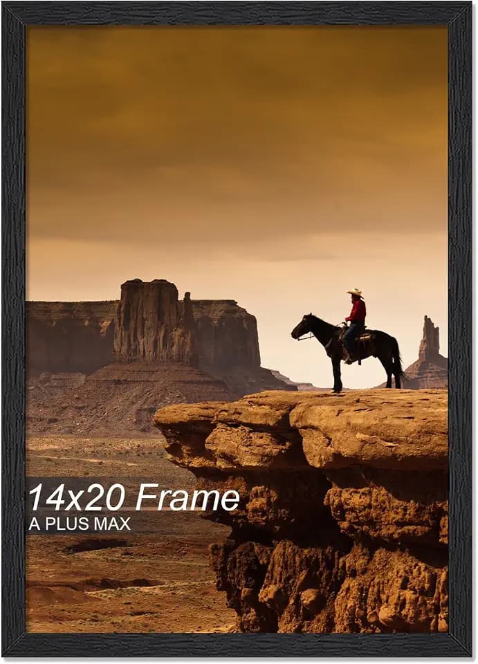 A PLUS MAX 14x20 Picture Frame Black Light Weight Wall Mount