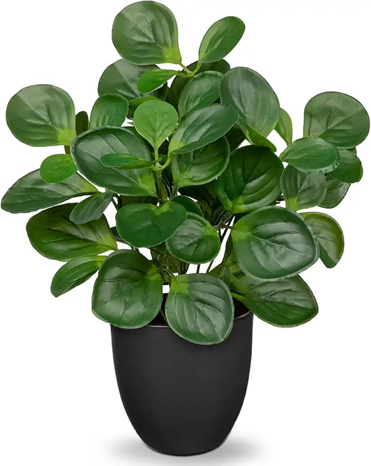 Villa Como 14.5" Artificial Plants Indoor Home Decor Faux Peperomia Plant