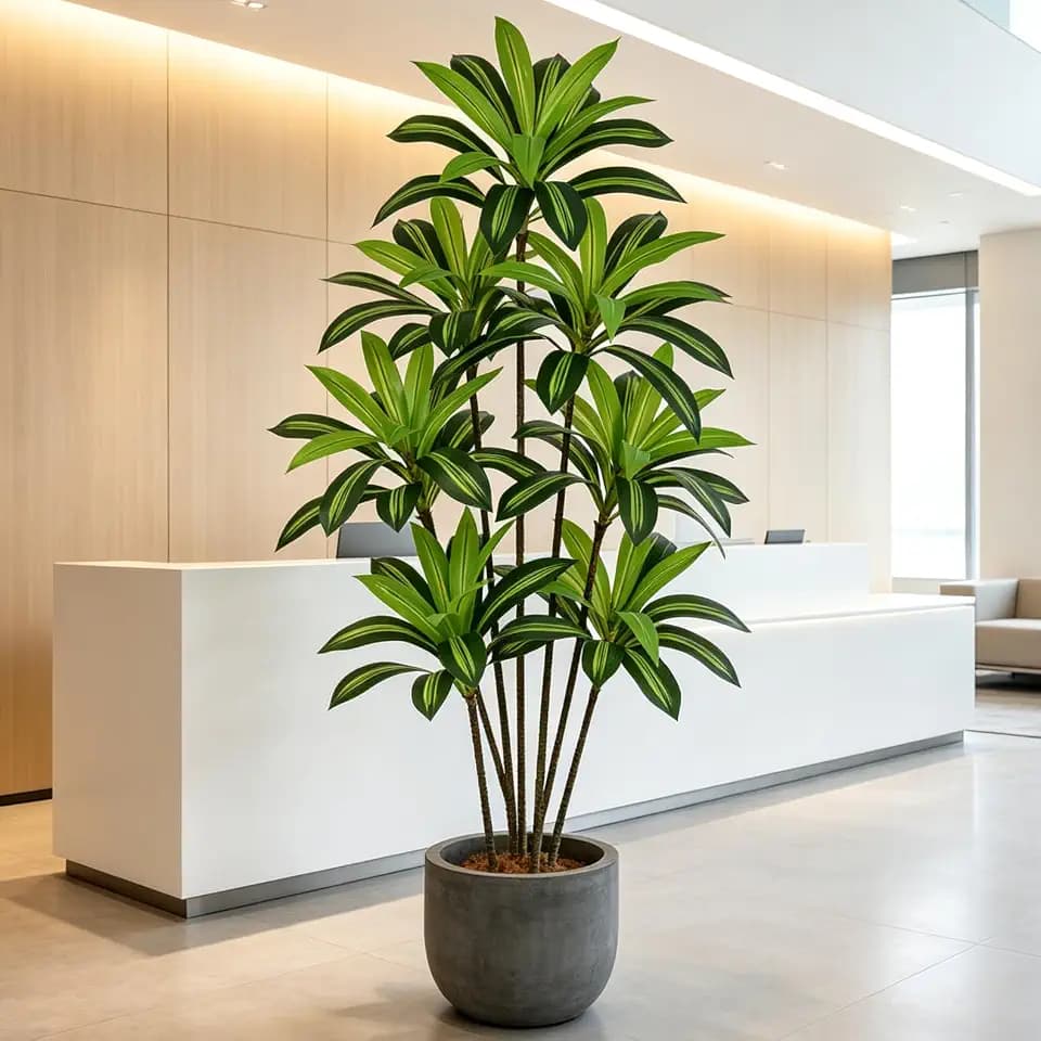Artificial Dracaena Tree 6FT with 105 Leaves & 7 Heads Lifelike