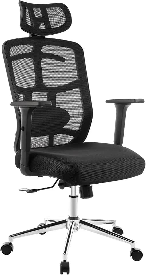 Topskyfurniture Mesh Computer Office Chair Ergonomic Design Chair Skeletal Back Synchronous Mechanism Hanger Function (Black)