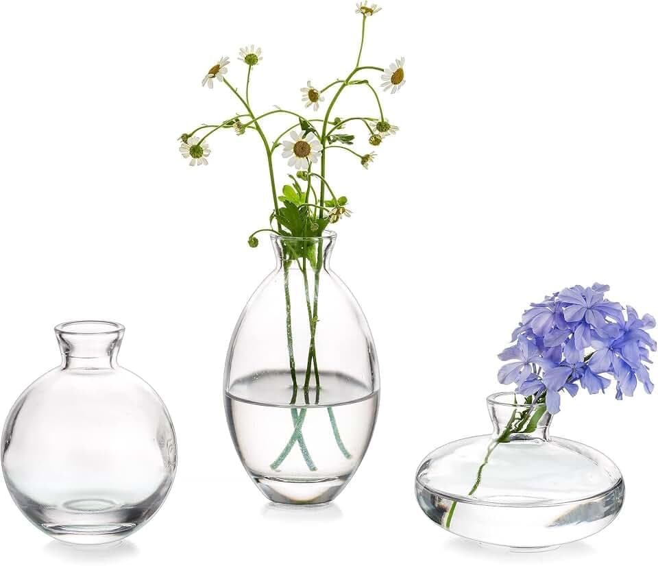Glasseam Clear Glass Bud Vase, 3Pcs/1Set Modern Mini Small Flower Vases