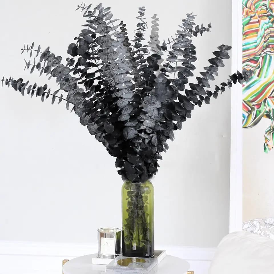 15 Pcs Real Black Eucalyptus Stems, 17" Dried Plants Natural Branches