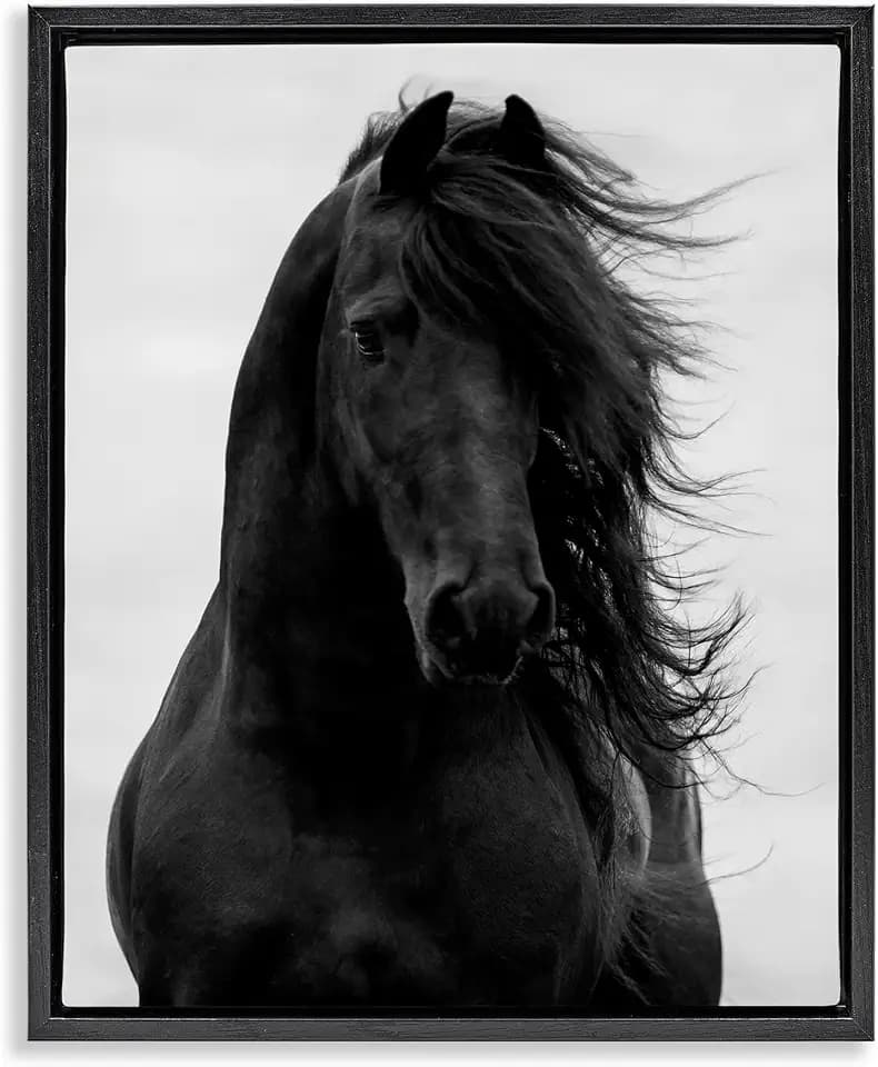 'Black Stallion Horse Portrait'| Floating Frame Canvas Art