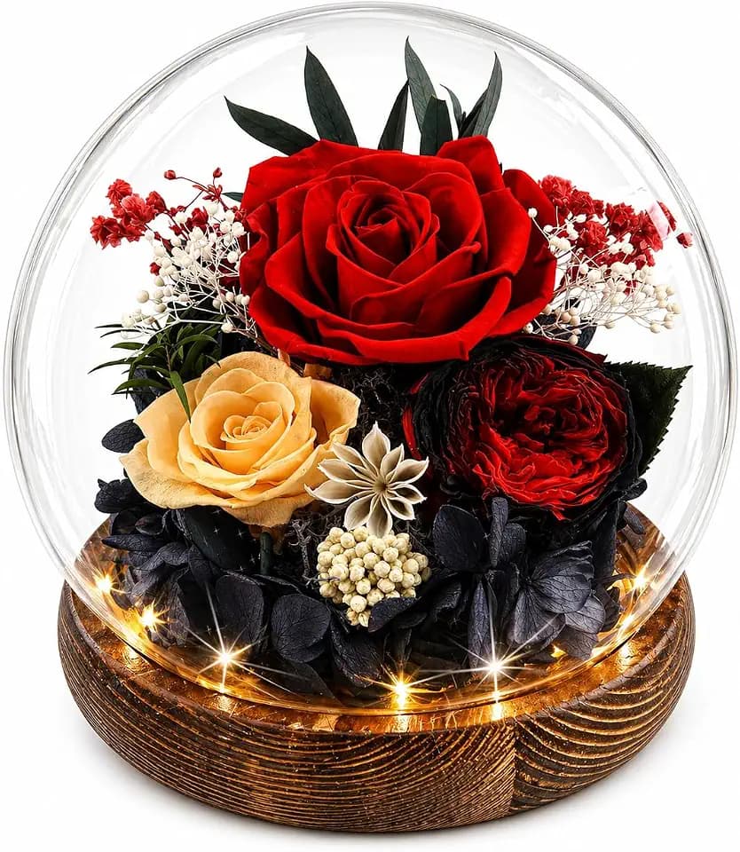 MOKOQI Birthday Gifts for Women Preserved Red Real Rose Flowers in Glass Dome, Forever Rose Graduation Gift for Her Mom on Christmas Birthday Flowers for Delivery Prime