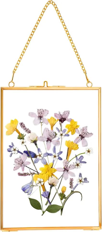 REDHUGO Hanging Pressed Flower Frames, Double Glass, Gold, 5x7 Inches