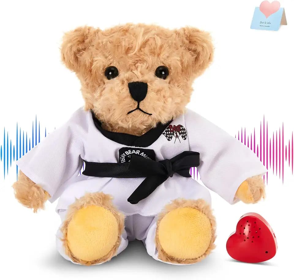 Houwsbaby Recordable Taekwondo Teddy Bear Stuffed Animal,Voice Gift Karate Bear Plush Toy,Holiday Birthdays Christmas Halloween Children's Day Adorable Gifts for Taekwondo Kids Girls Boys 8''