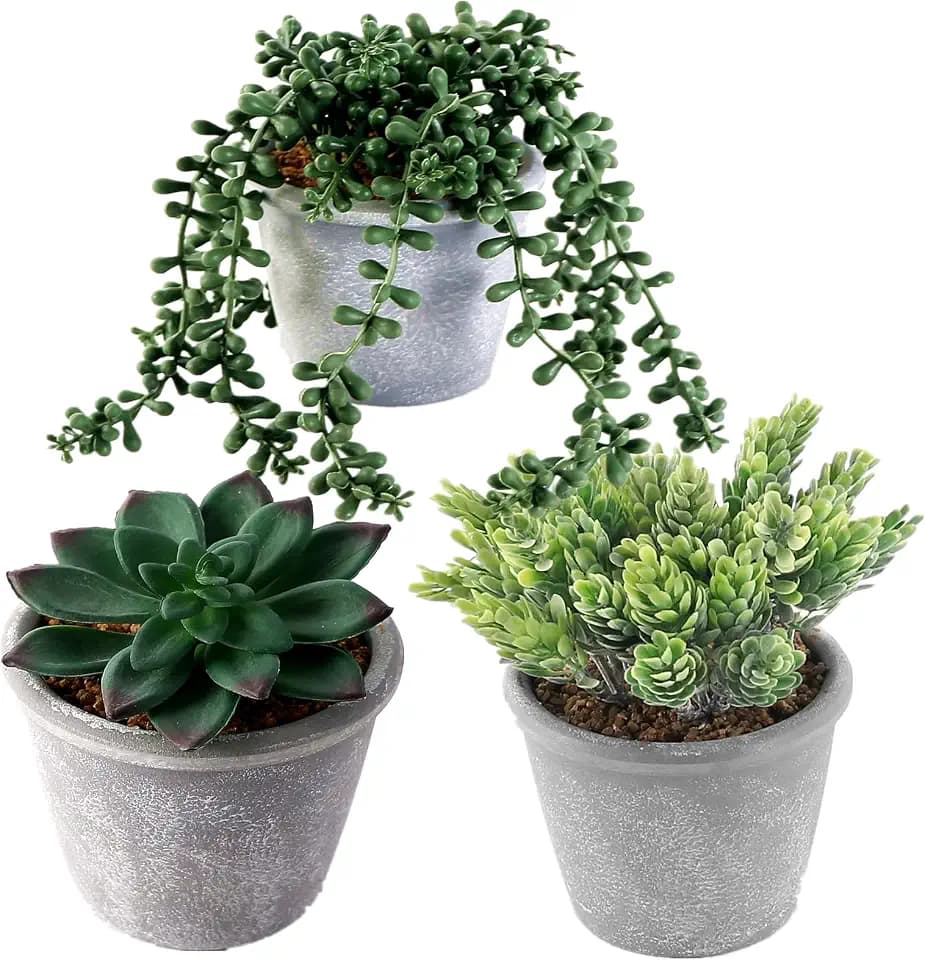 COTSEN 3 Pcs Artificial Succulents Potted Plants Assorted Fake Succulents Potted for Family Office Garden Interior Decor