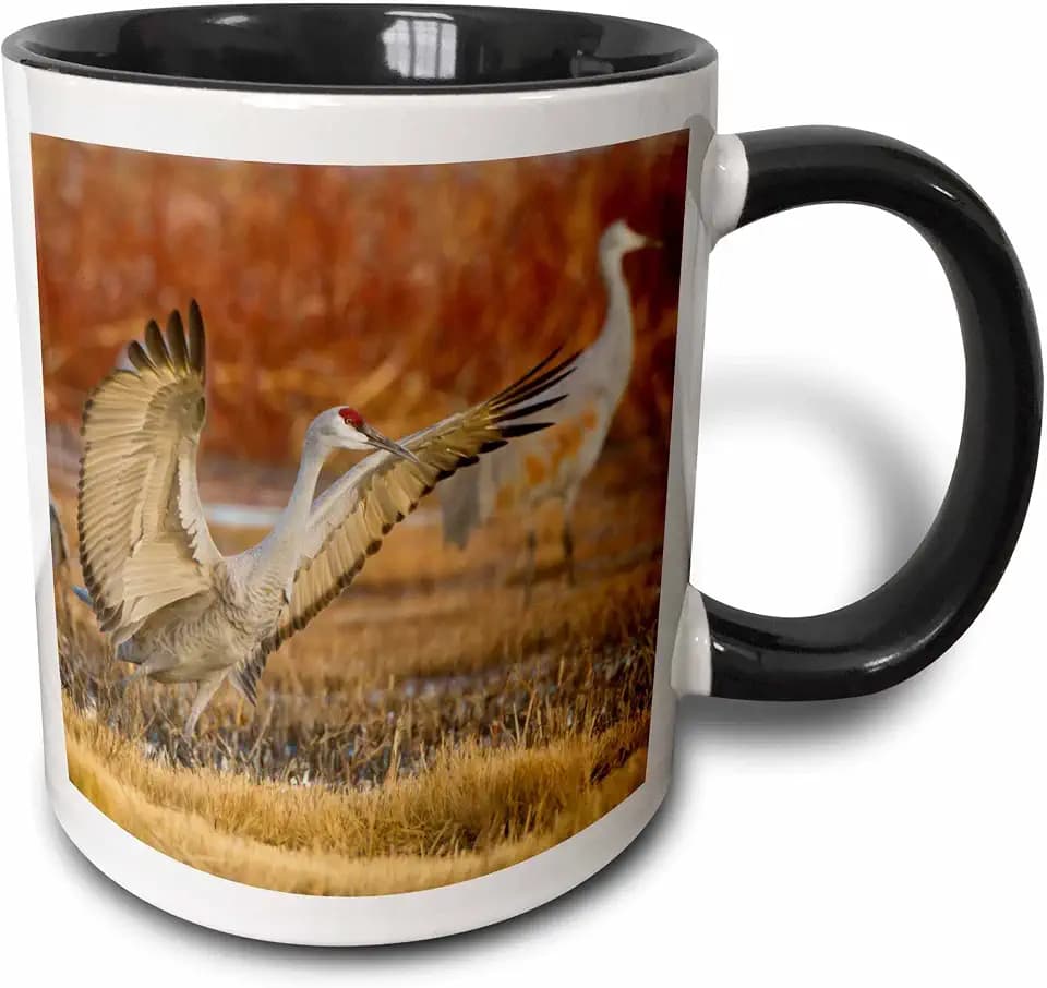 3dRose Sandhill Crane Landing at Roost Pond 11oz Two-Tone Black Mug