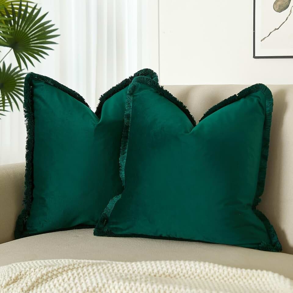 JUSPURBET Forest Green Velvet Throw Pillow Covers 24x24 Inch Set of 2 with Soft Tassel Fringe Luxury Boho Pillowcase for Sofa Couch Bed Home Decor Machine Washable