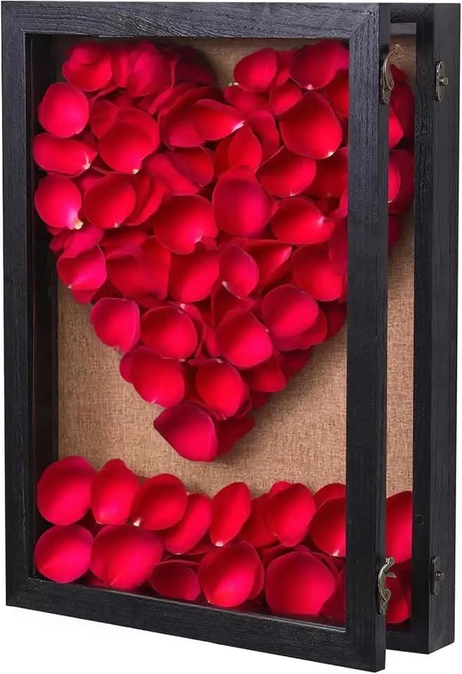 20x30 Extra Large Shadow Box Display Case, Hinged Door, Solid Wood, Black