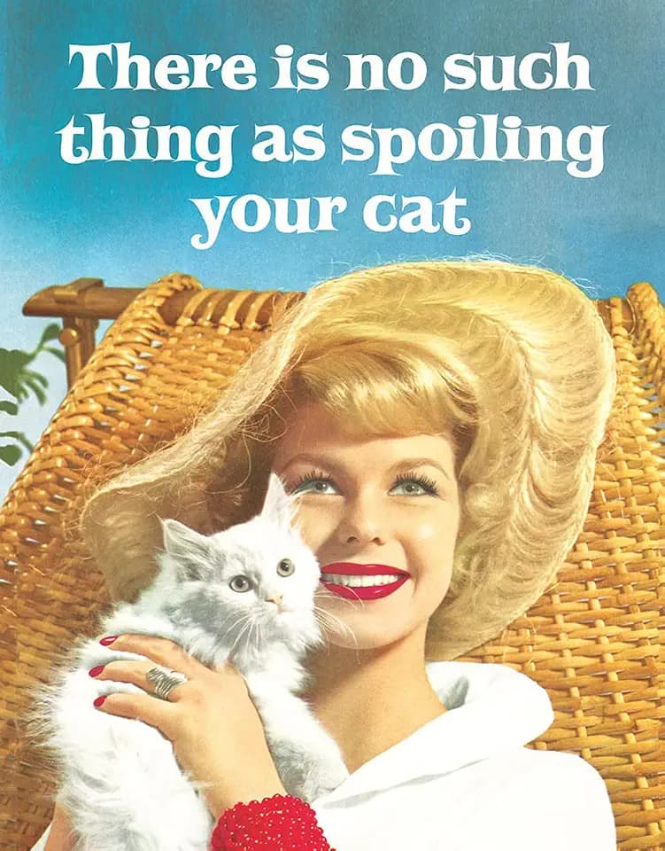 Desperate Enterprises Spoiling Cat Tin Sign - Nostalgic Vintage Metal Wall Decor - Made in USA