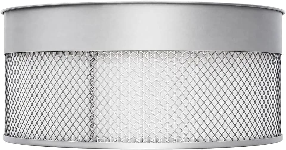 BUCKTOOL 2-Micron Dust Filter, Canister Filter Kit for DC30CW and DC30A