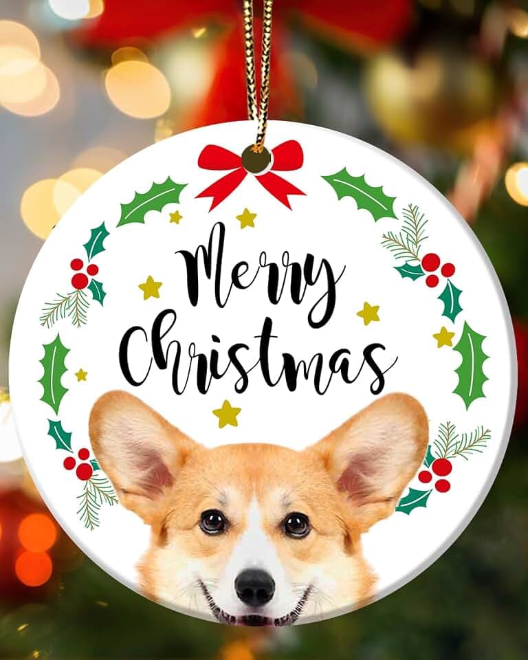 Corgi Gifts for Corgi Women - Corgi Ornaments for Christmas Tree Decorations Women Keepsake Lovers
