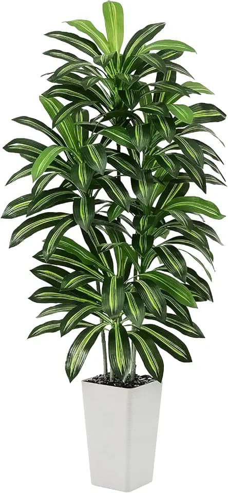 Artificial Dracaena Tree 5FT / White Planter, Tall Plants Indoor