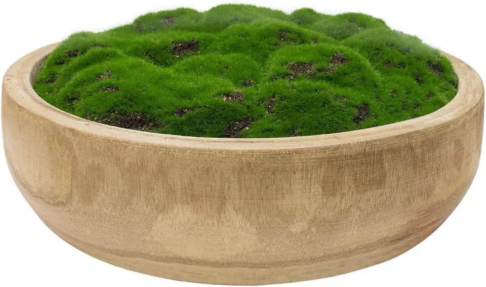 Moss Wood Bowl, Natural Round Dough Bowl for Tabletop Centerpiece Decor