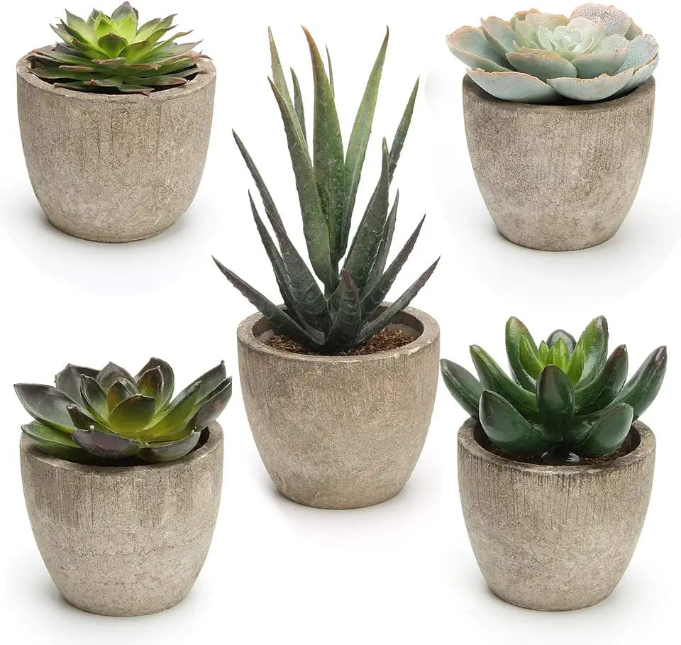Coitak Artificial Succulent Plants Potted, Artificial Plants Indoor, 5 PCS