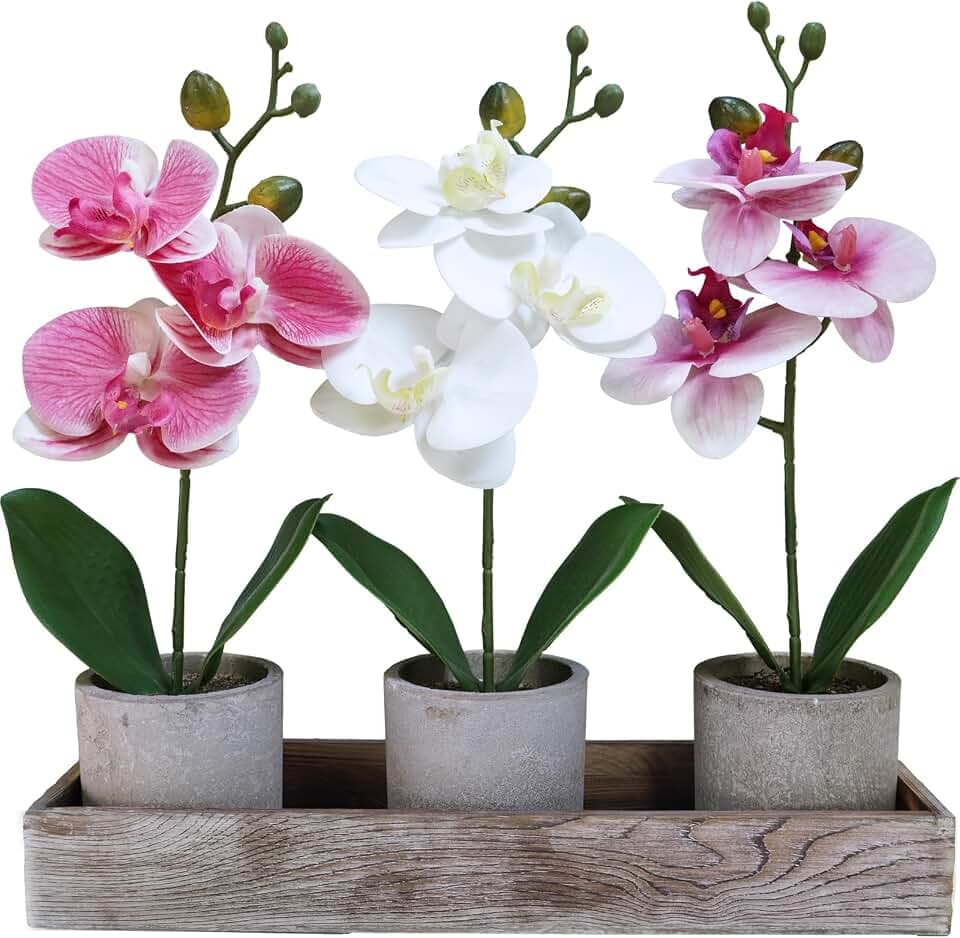 Winlyn Set of 3 Small Artificial Orchid Potted Plants Arrangement with Rustic Wood Planter Box Real Touch Faux Phalaenopsis Moth Orchid Flowers in Pots for Home Office Desk Shelf Table Centerpiece