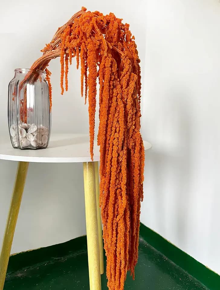 5 Pcs Bleached Wisteria Vine Hanging Dried Flowers, Natural Preserved Hanging Amaranthus Flowers for Wedding Bouquet, Wall Home Party Decor (Orange)