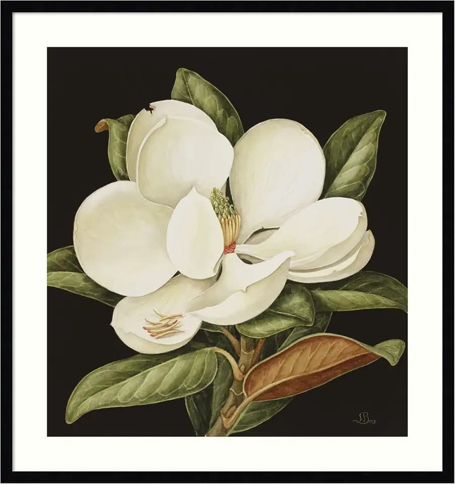 Amanti Art Framed Wall Art, Flowers Print, White Living Room Decor