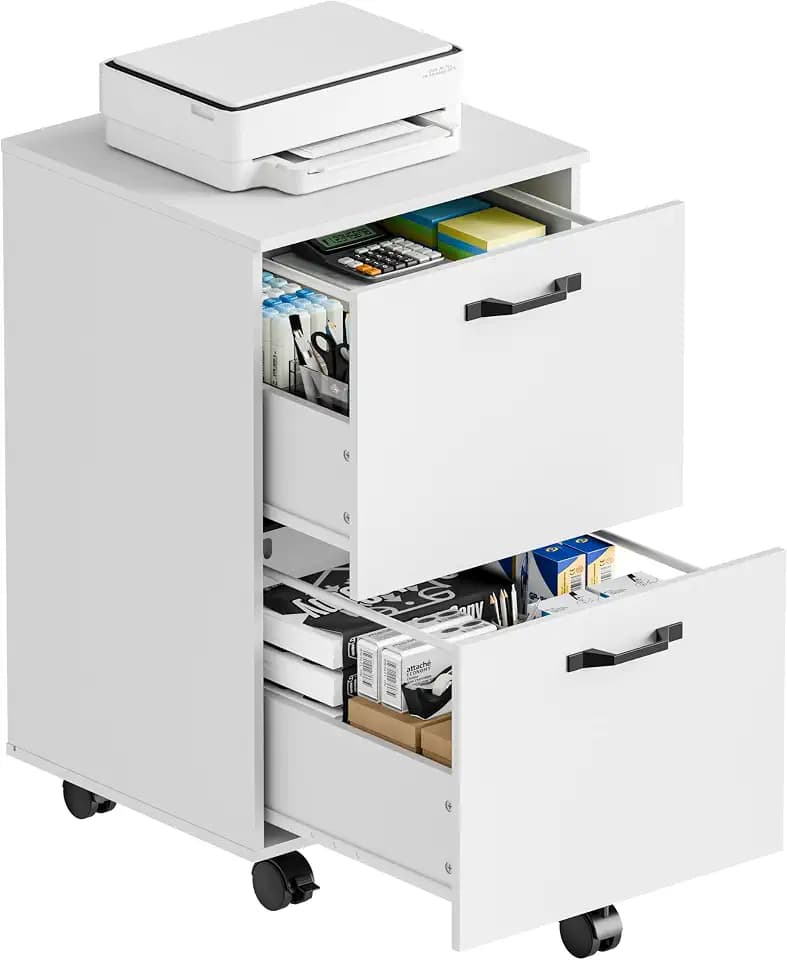 DUMOS 2 Drawer Storage Cabinet, Rolling Under Desk Storage, White