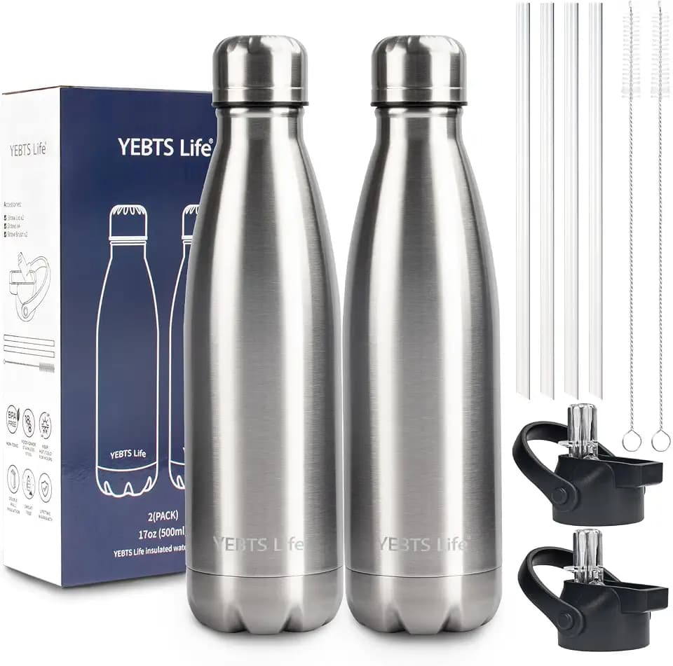 Insulated Water Bottle, 2 Pack-17oz Stainless Steel Water Bottles with straw lid, Metal Sports Water Bottles for Boys,Girls, Double Wall Vacuum BPA-Free Flask for School, Sports & Travel-Silver