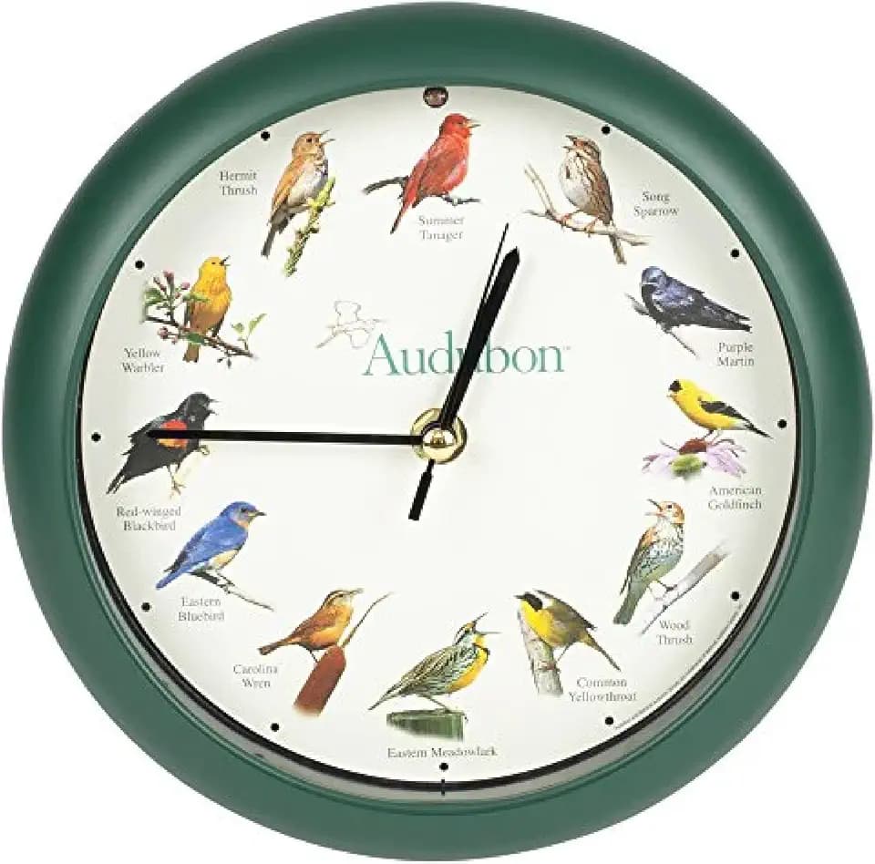 Mark Feldstein Audubon Singing Bird Clock, 8 in, Green