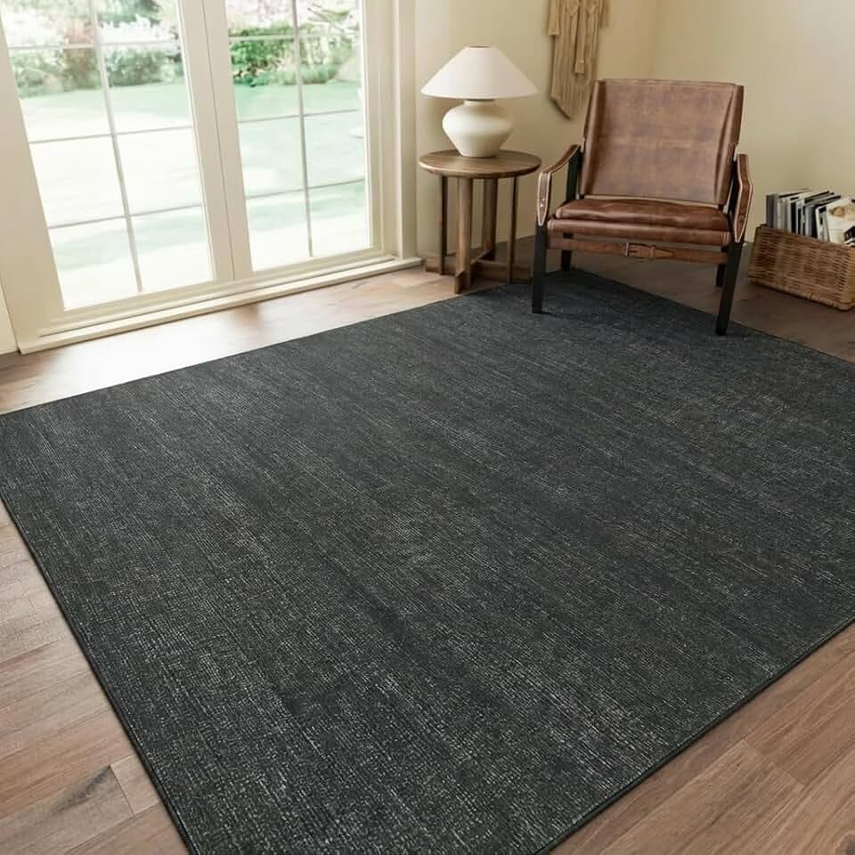 Garvee Black Rug for Living Room 4x6 Modern Solid Color Washable Rugs