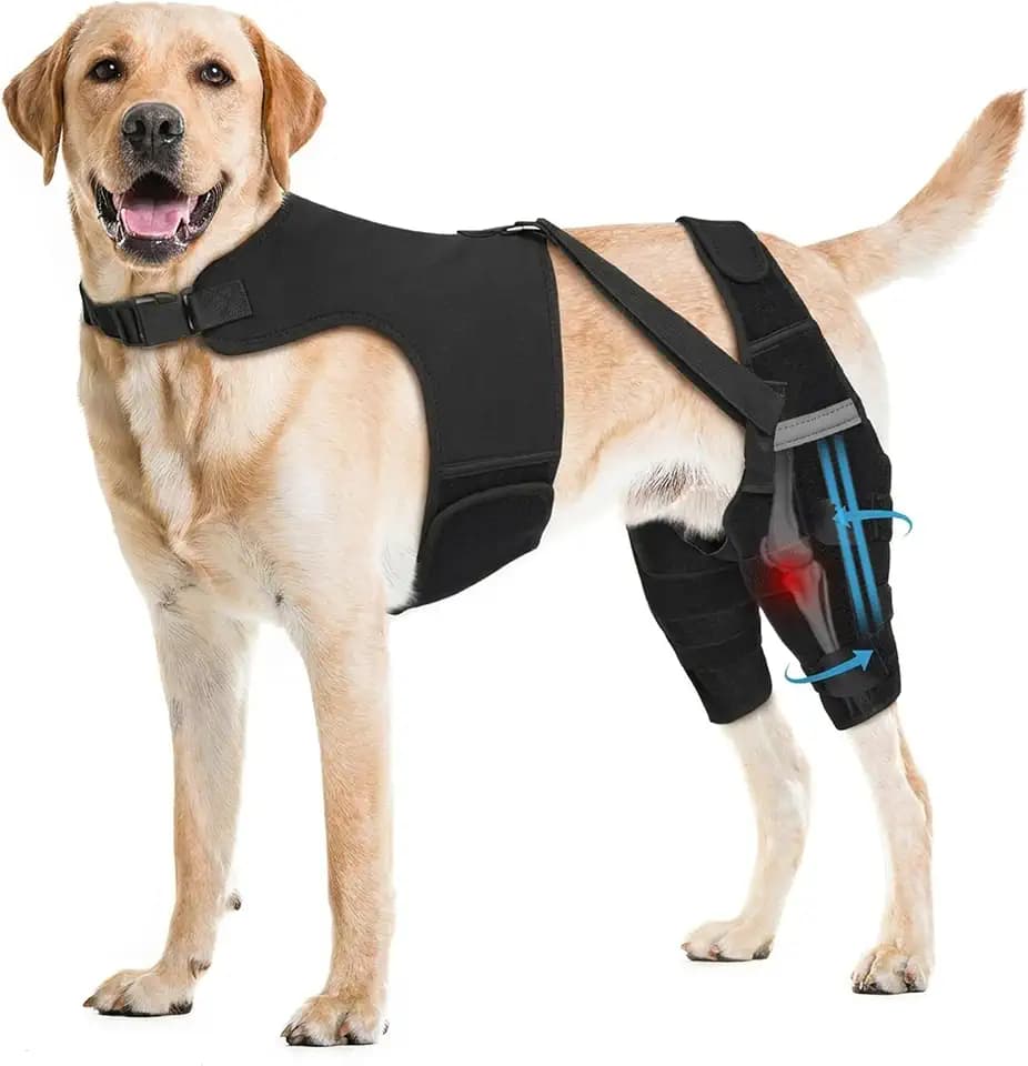 Hundekniebandage Hinterbein mit Weste zur Schmerzlinderung(XXL)