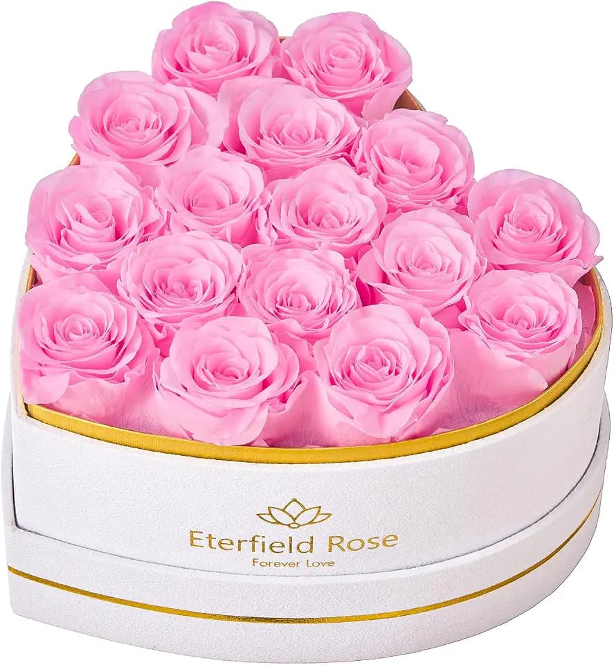 Eterfield 16 Forever Flowers in Heart Shape Box Preserved Roses,Light Pink