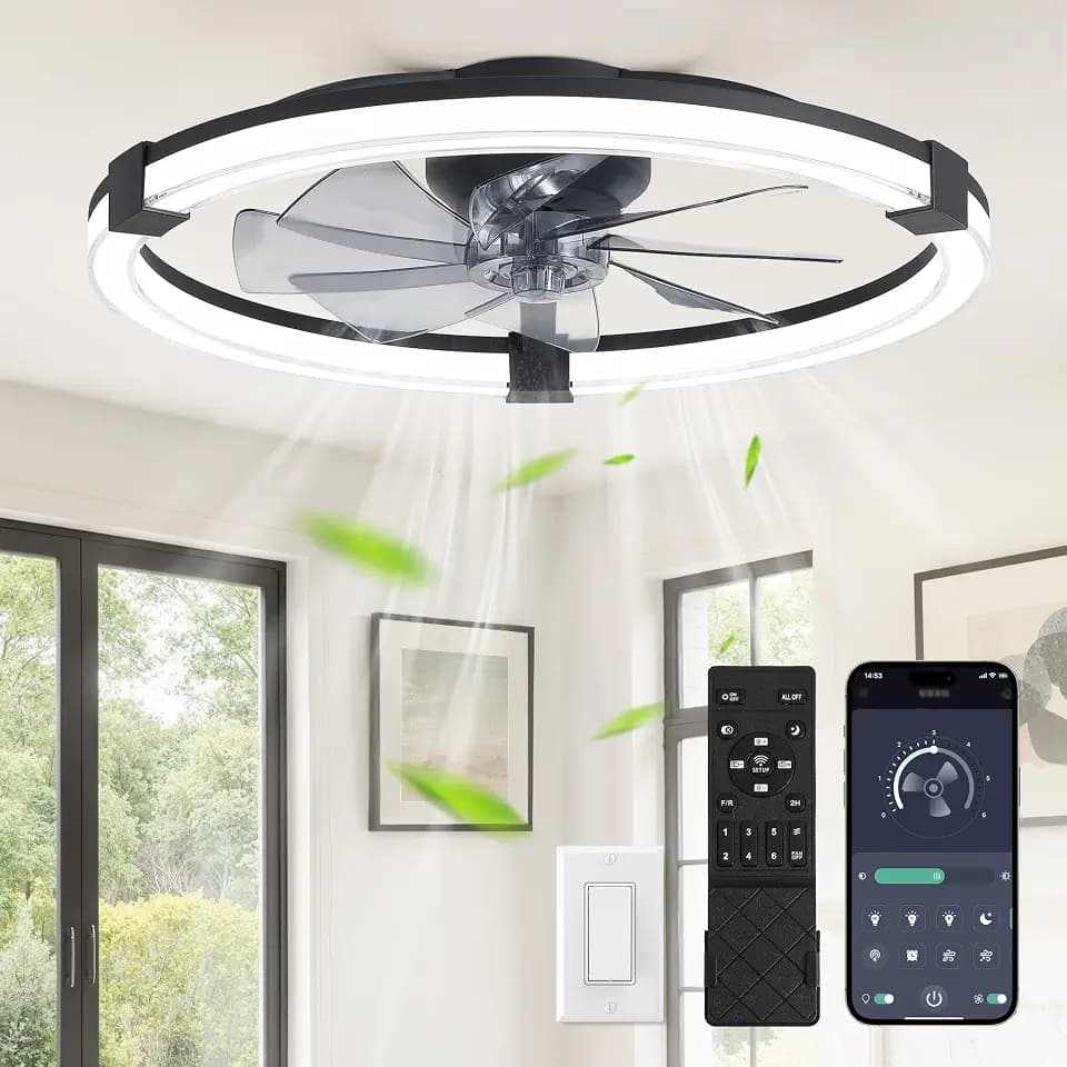 Ceiling Fans with Lights 23 Inch Low Profile Fandelier with Remote Black