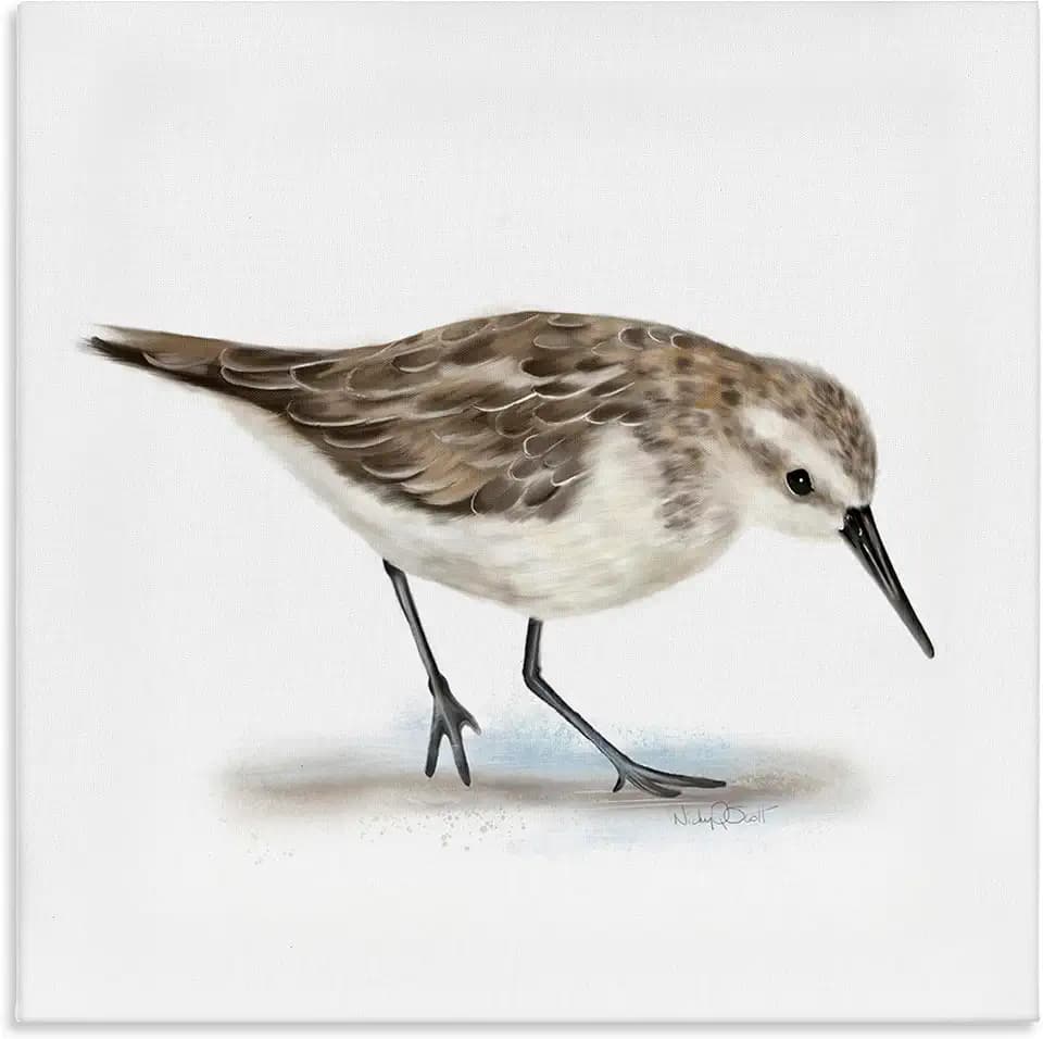 Stupell Industries 'Charming Sandpiper on Soft Sand Brown'| Canvas Art