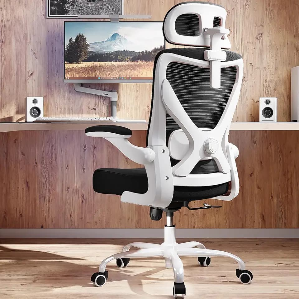 Ergonomic Office Chair: Mesh Desk Chair Comfy with Headrest& Lumbar Support