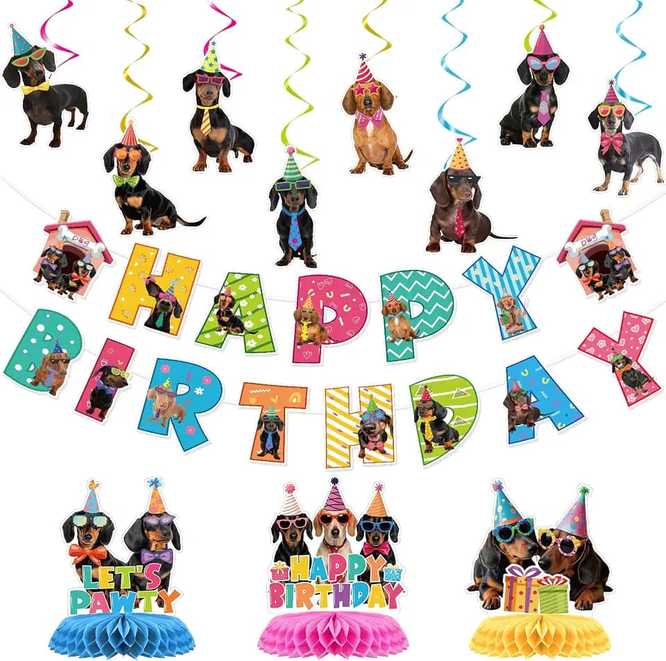 Dachshund Dog Birthday Party Banners Swirls Decorations 13PCS