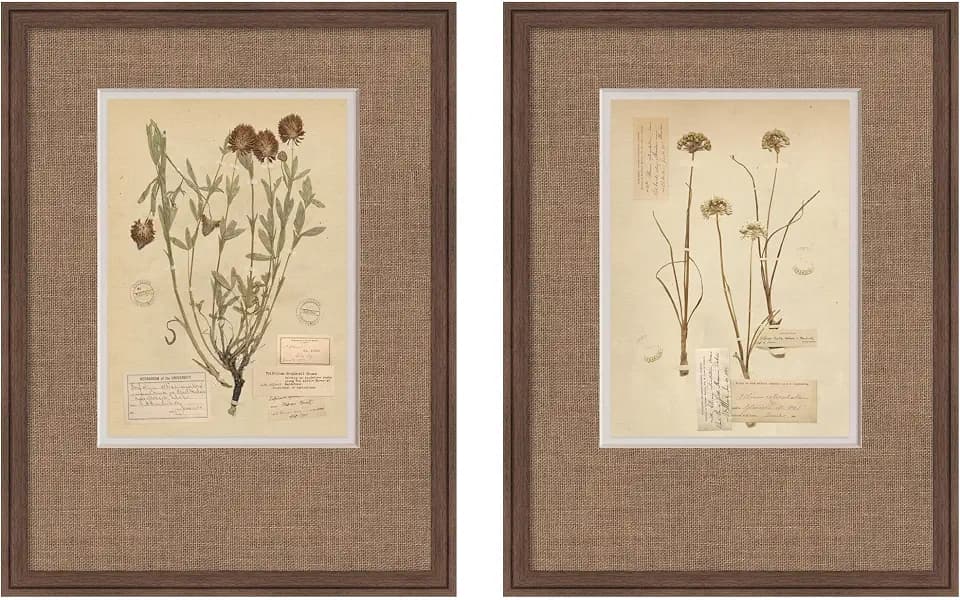 Kate and Laurel Vintage Botanical Hopsack Faux Mat 2 Piece Framed Wall Art Print Set by Corinna Buchholz of Piddix, Florence Medium Brown Rustic Farmhouse, Flower Art for Wall Decor