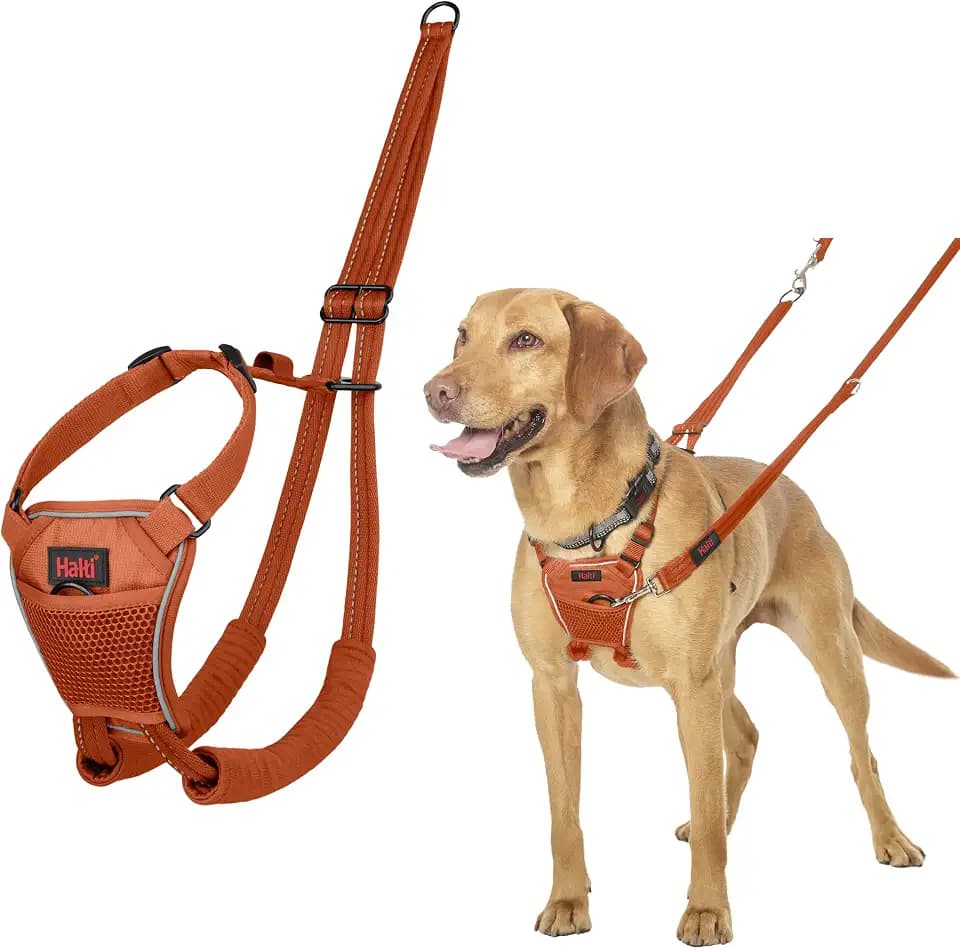 Halti Anti-Zug Hundegeschirr | Größe M, Dunkelorange