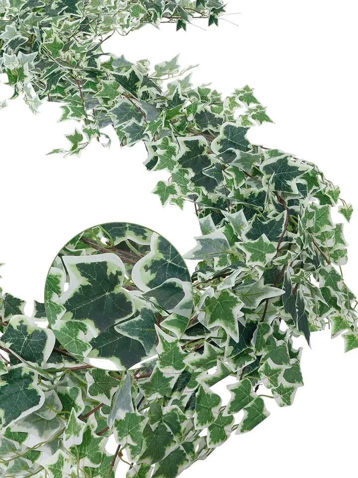 ucky Ivy Vines 71 Inch 4 Pcs Artificial Plant Silk Fake for Wall Hanging Decor Greenery Ceiling Decor Home Decor Outdoor Decor Wedding Decoration Vines Aesthetic Room Decor (White)