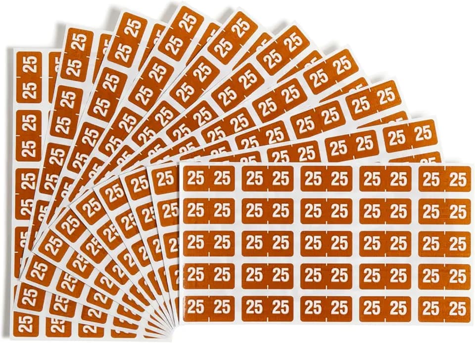 Smead ETS Color-Coded 2025 Year Labels, 1" x 1/2", Pack of 250, Brown (67925)