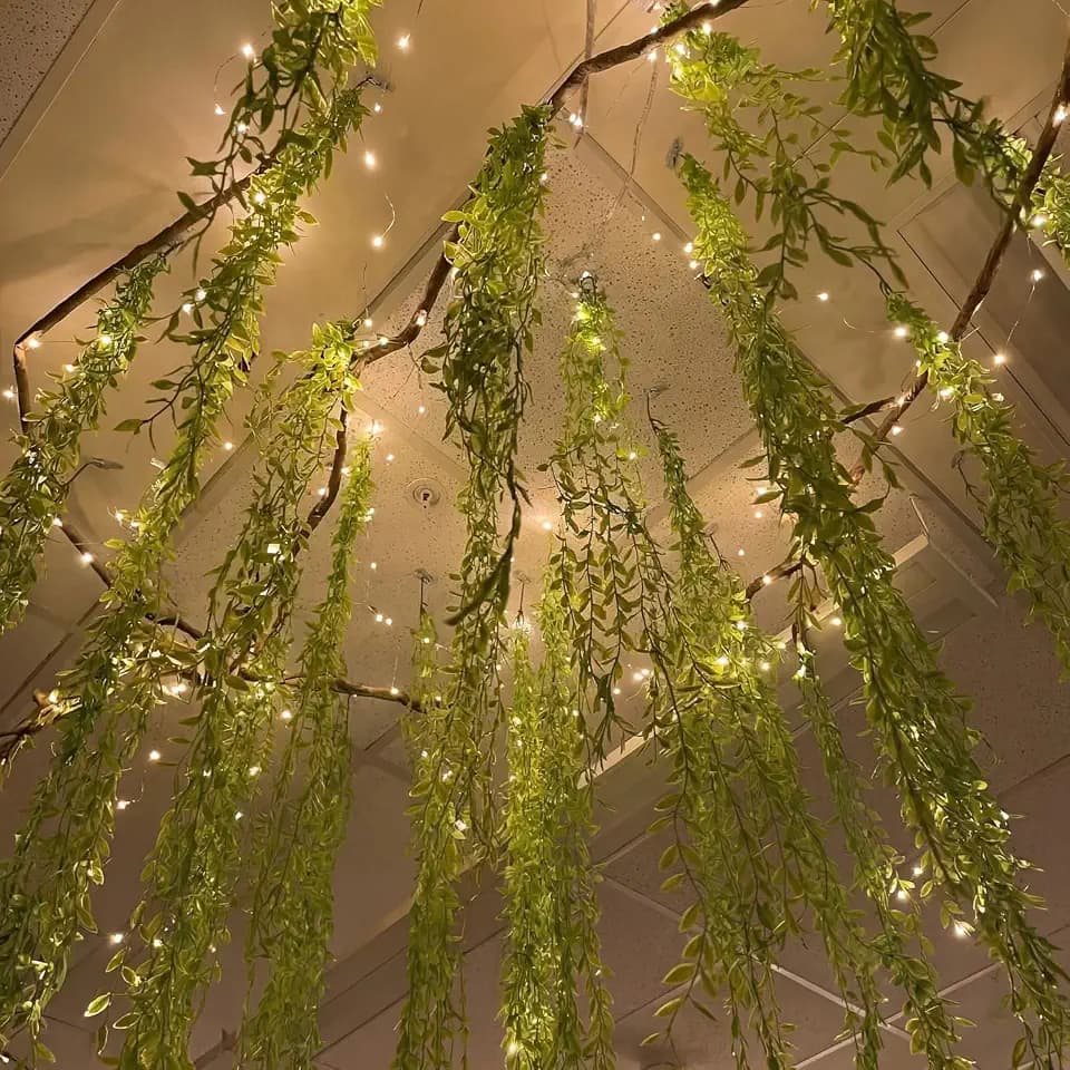 Bucherry Jungle Party Decoration Set 68.9ft Artificial Hanging Willow Vines