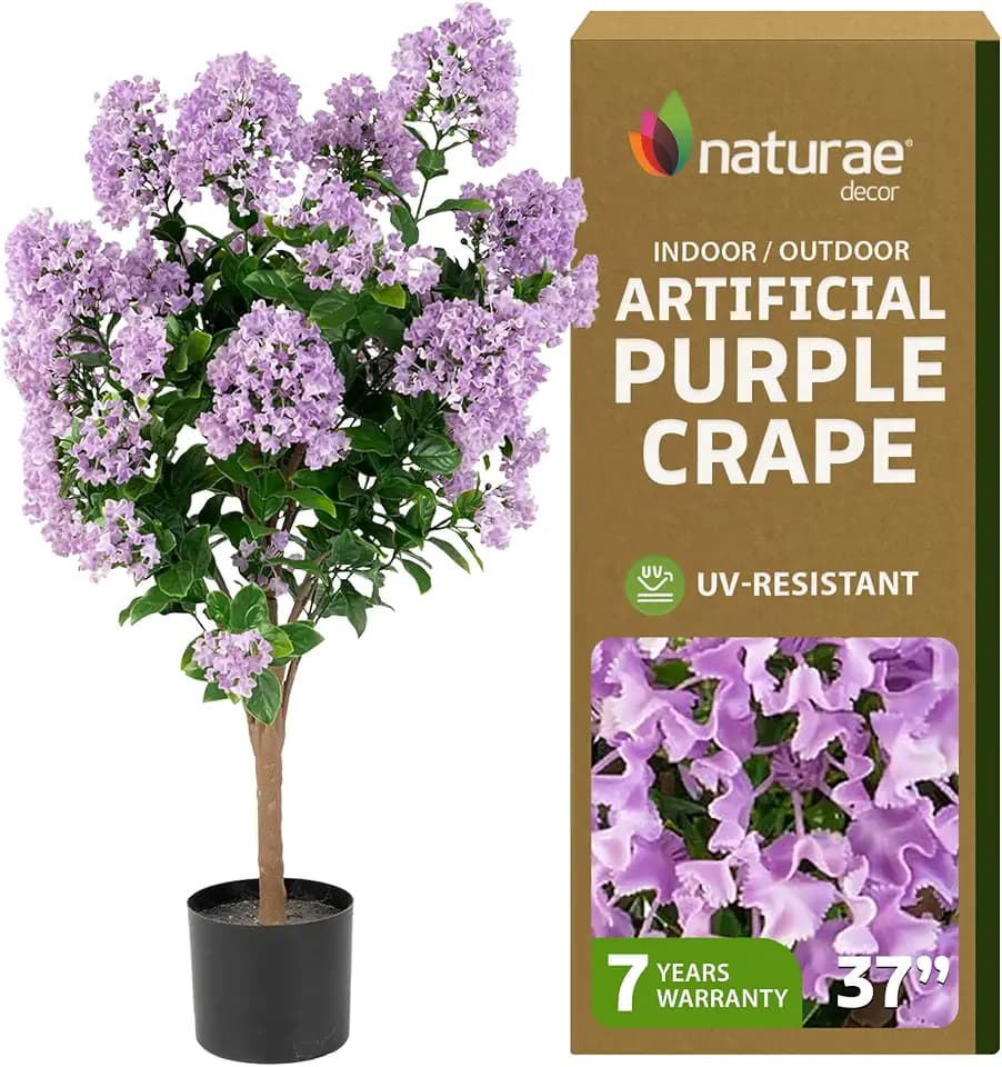 Naturae Decor Purple Crape Myrtle Tree