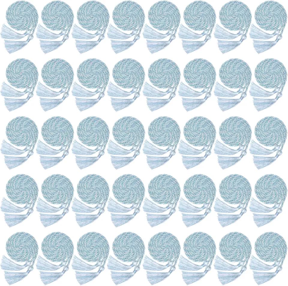 Wholelovein 40 Pack Graduation Honor Ropes Cords Bulk, Yarn Honor Cords with Tassel for High School Bachelor Gown College Graduation 2025(Sky Blue with White)