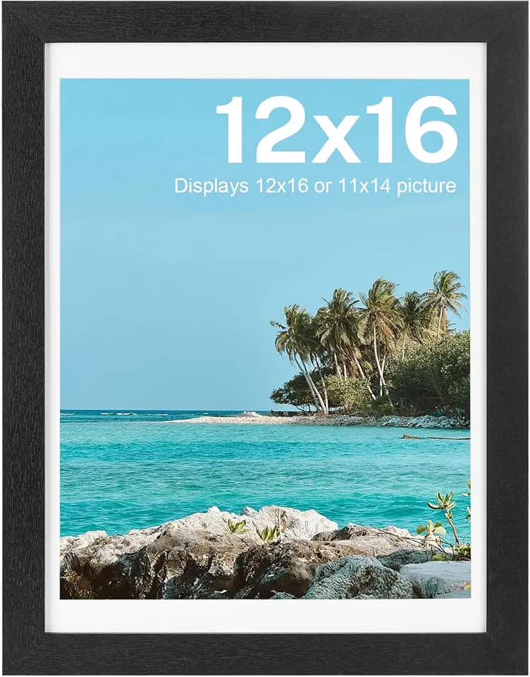HOUSE DAY 12x16 Poster Frame Wood and HD Plexiglass Black for Wall, 1 Pack