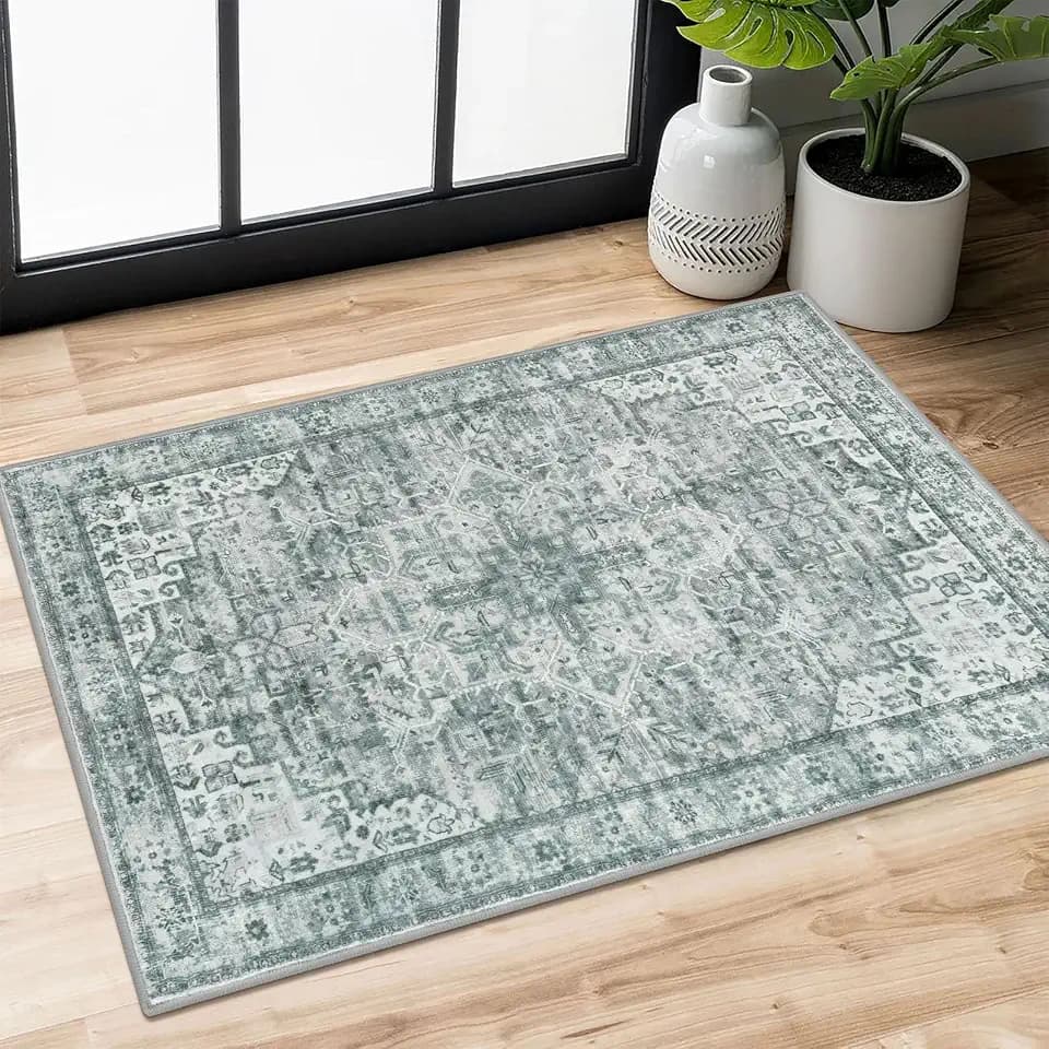 SIILOOM 2x3 Small Washable Area Rug Entryway Door Mat Indoor Kitchen Runner